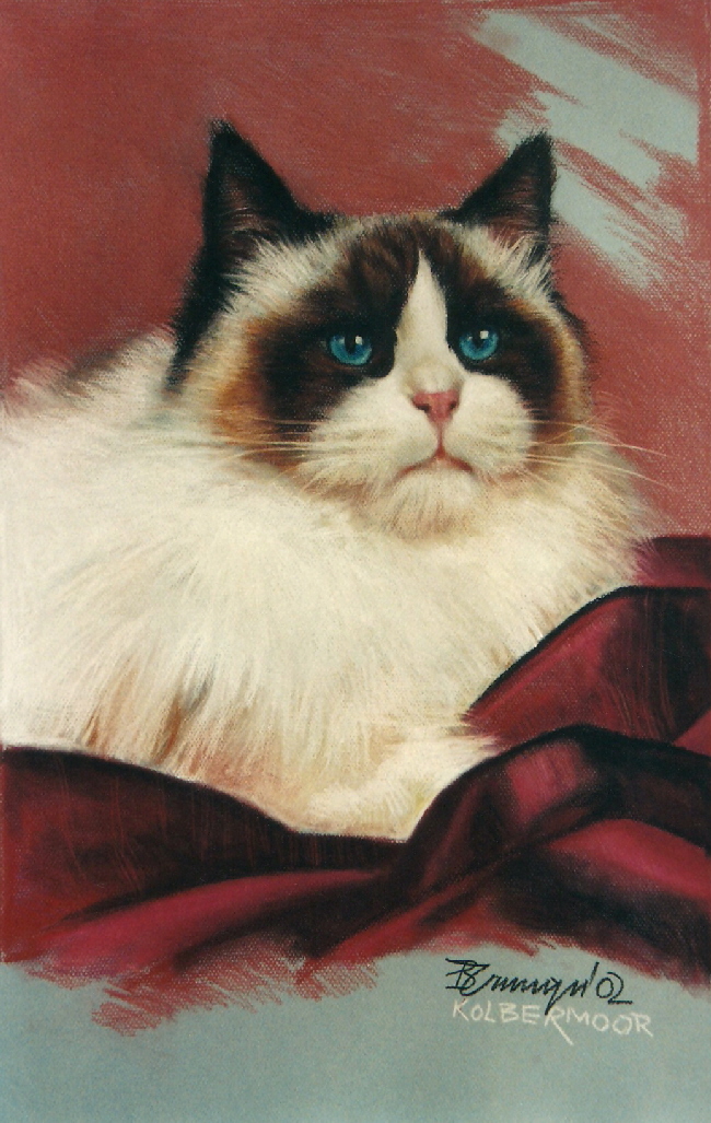 Cat10