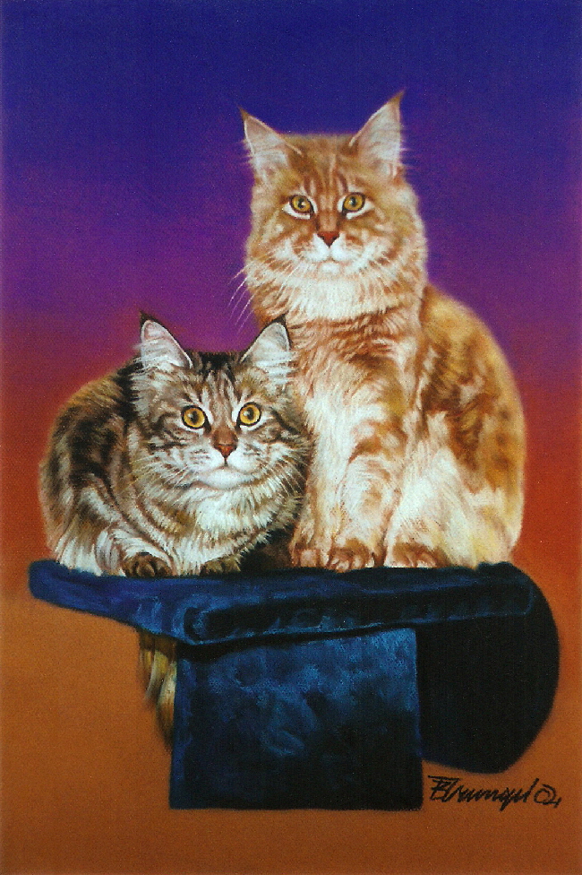 Cat11