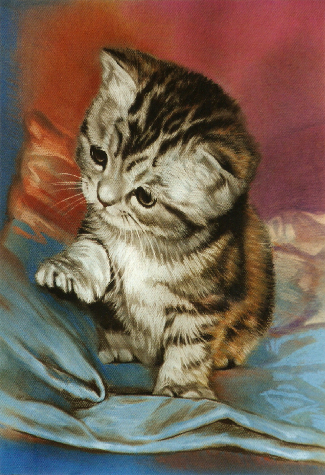 Cat13