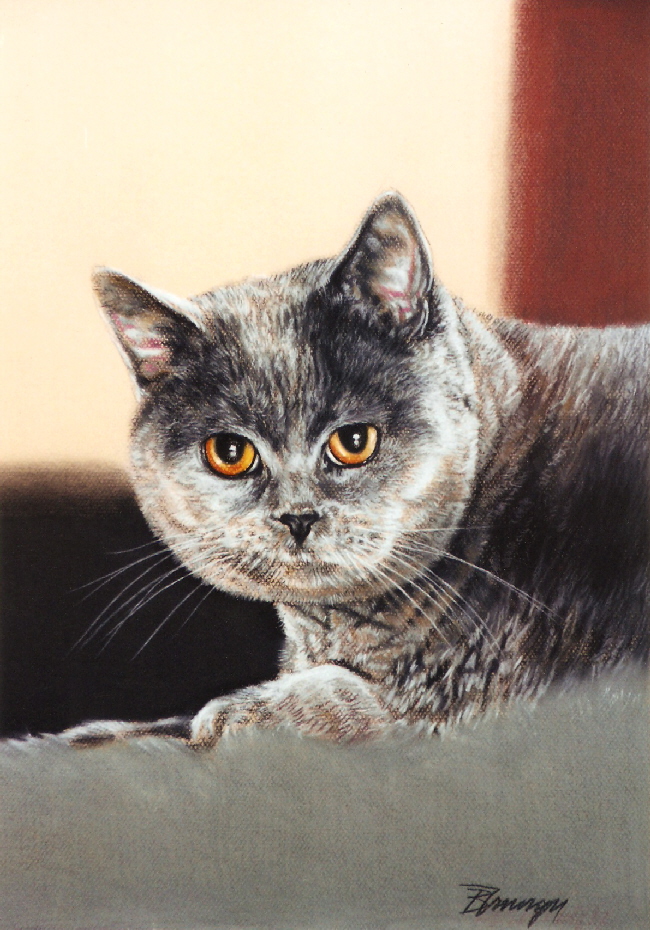Cat14