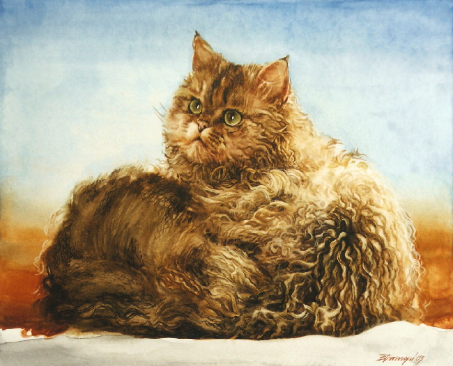 Cat12