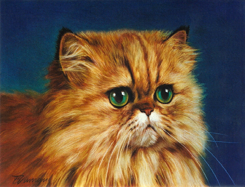 Cat01
