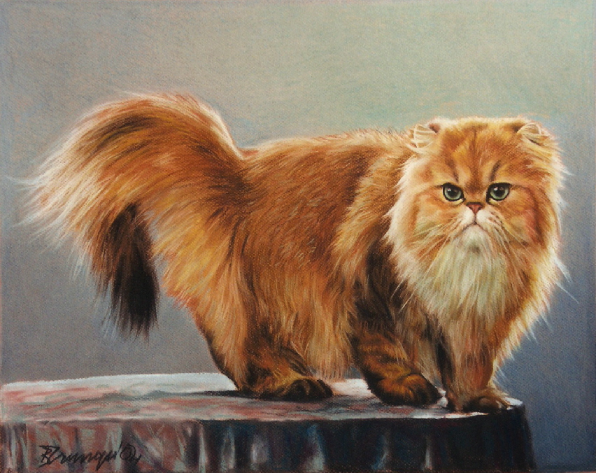 Cat02