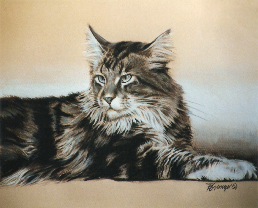Cat03