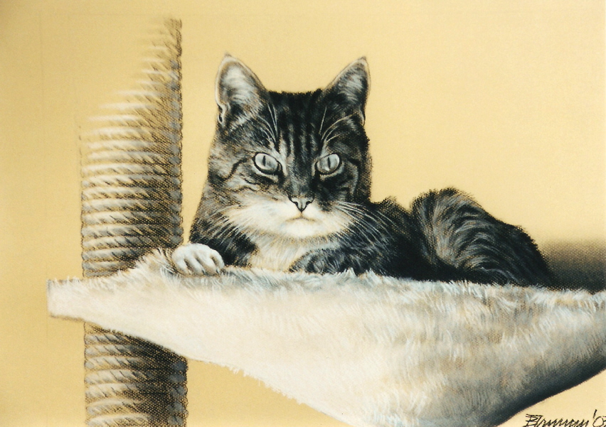 Cat04