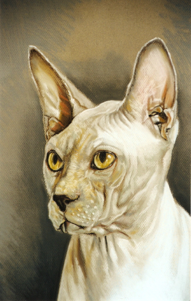Cat05