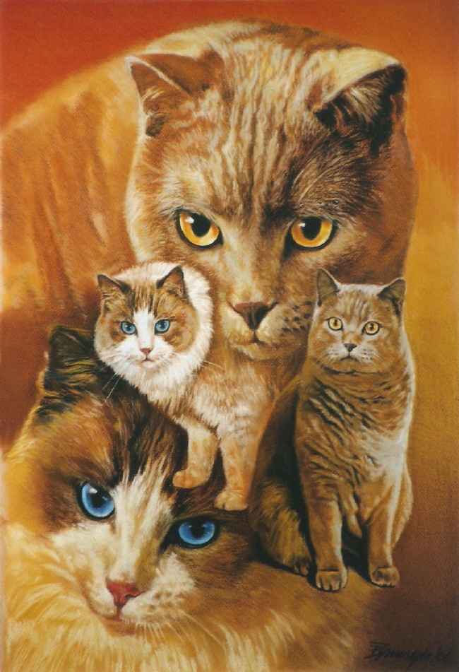 Cat06