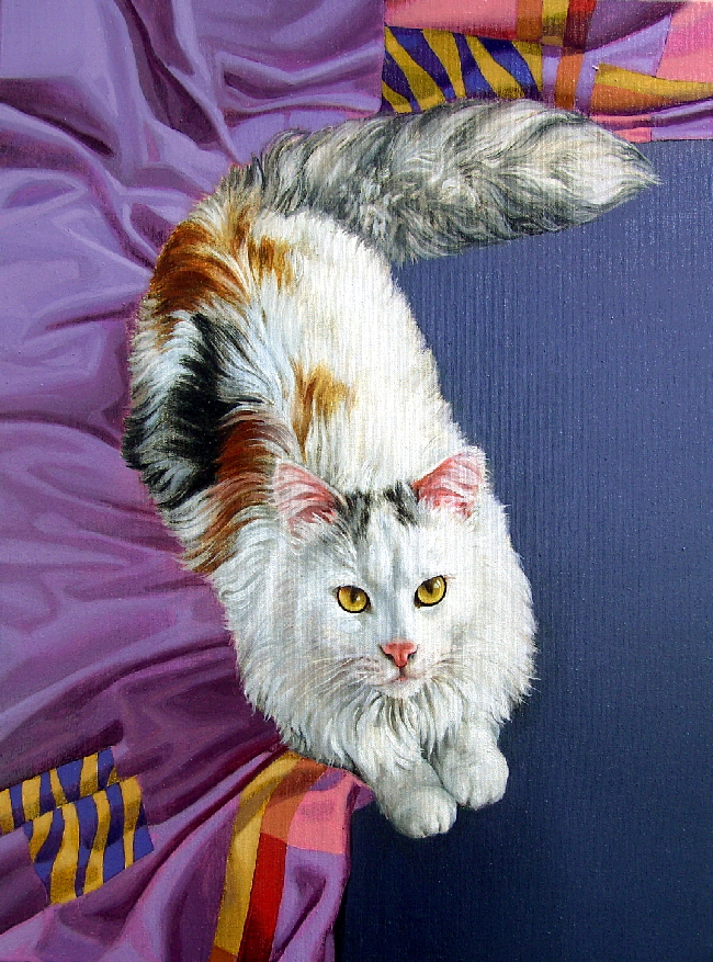 Cat07