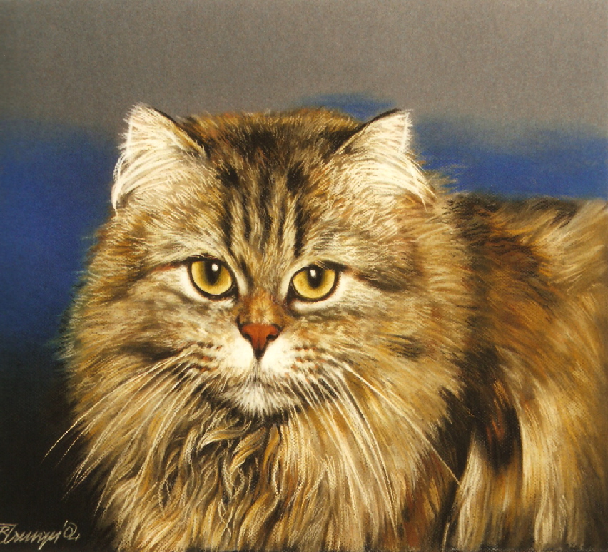 Cat08