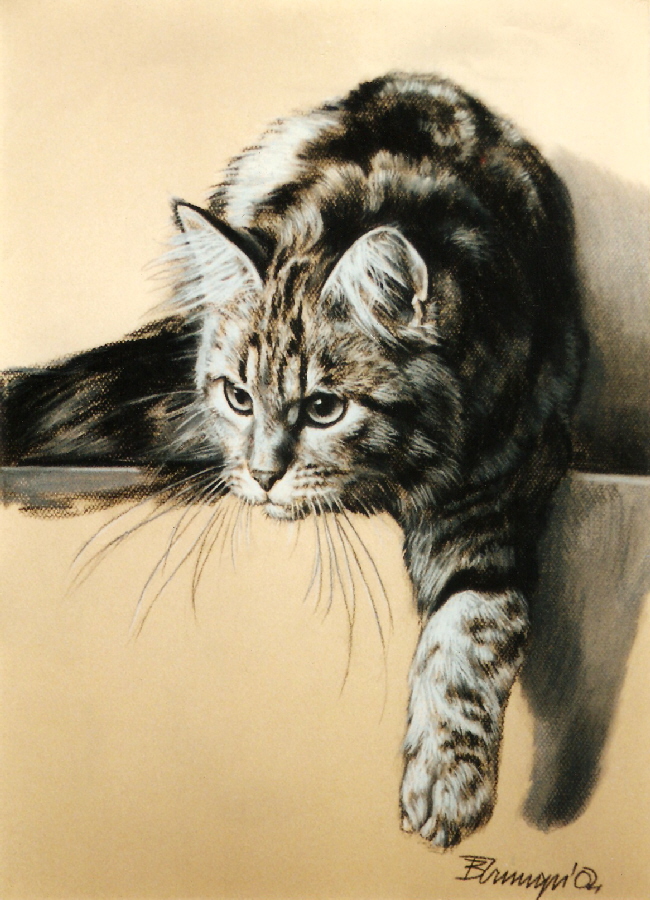 Cat09