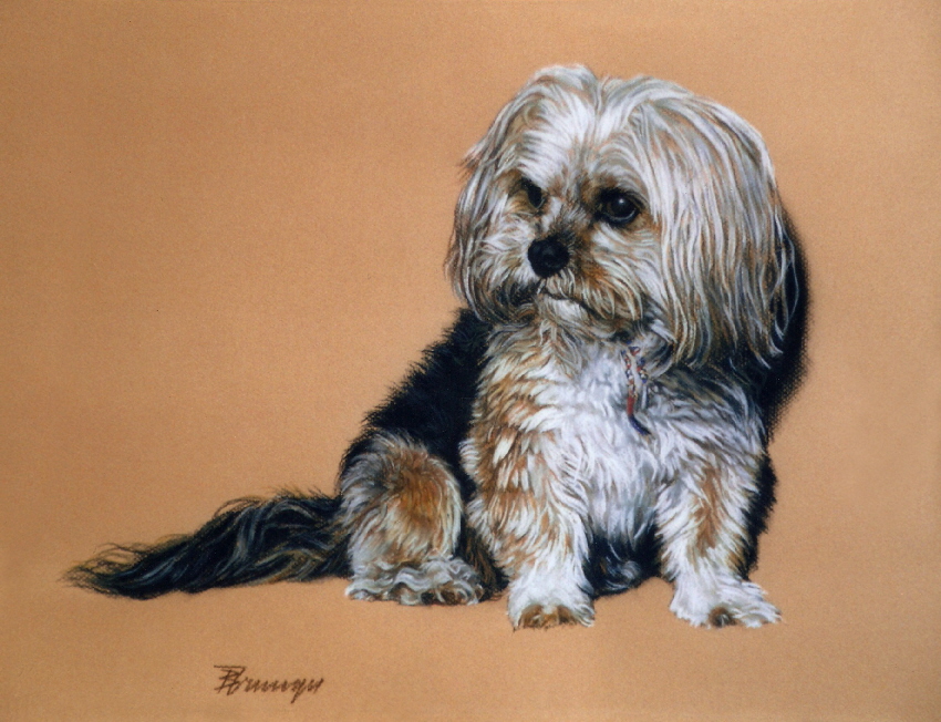 Hund010