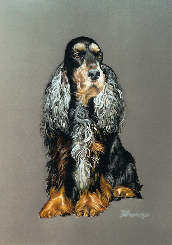 Hund011