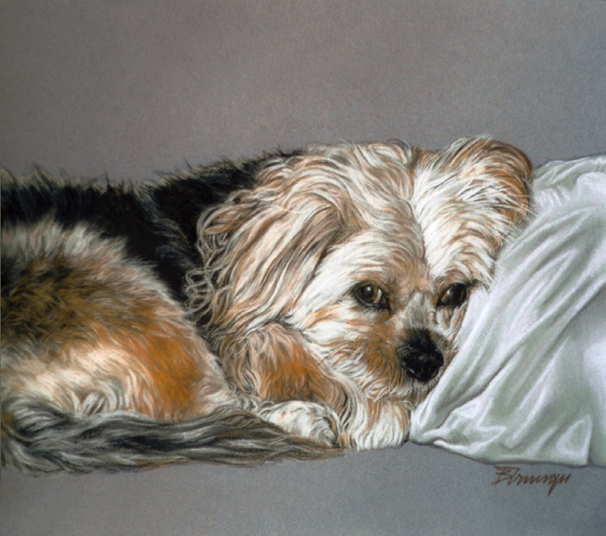 Hund012