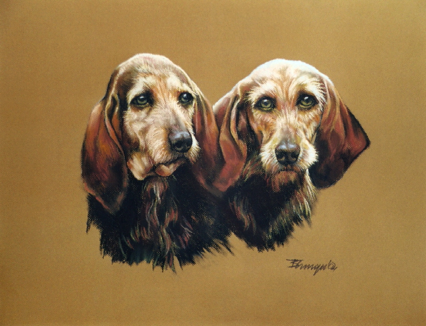 Hund013