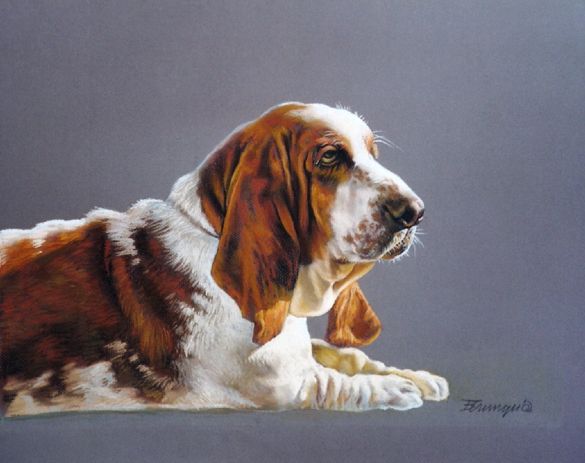 Hund014