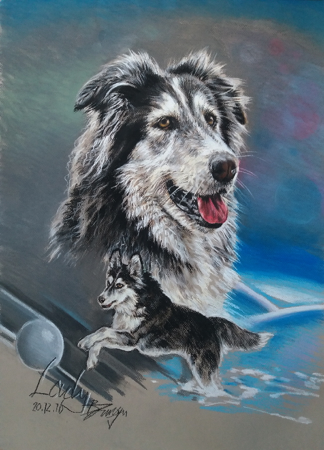 Hund015