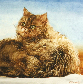 Katze020a