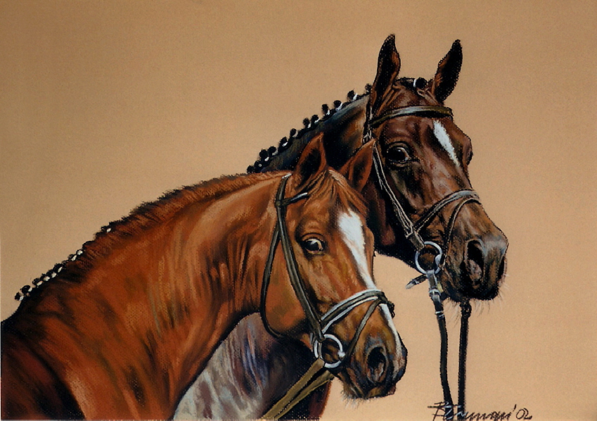 Pferd01