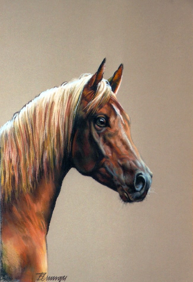 Pferd04