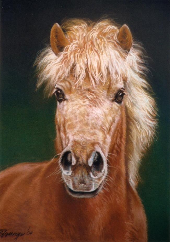 Pferd05
