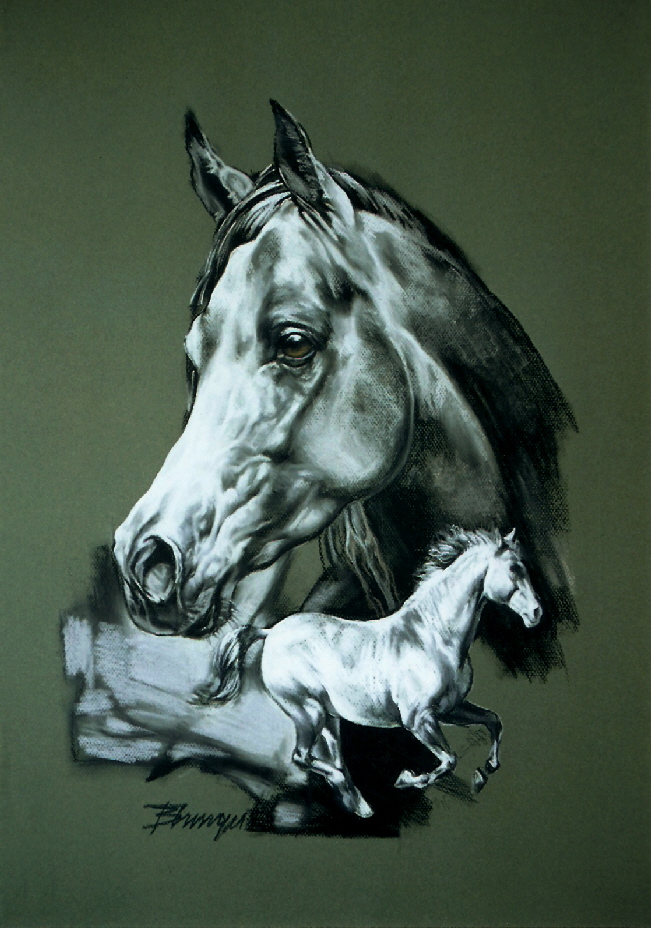 Pferd02