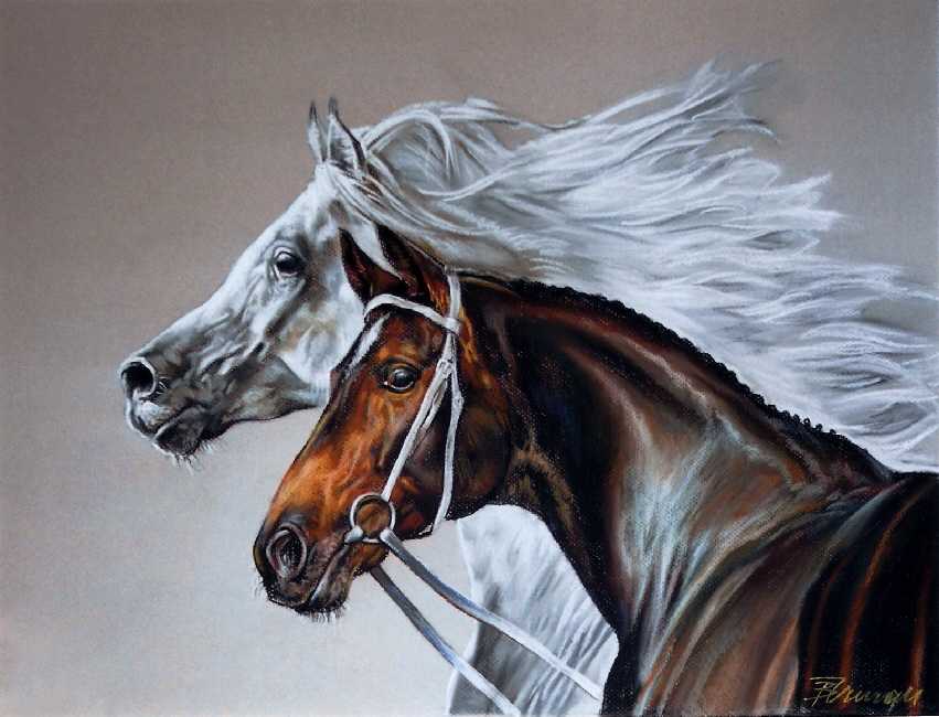 Pferd06
