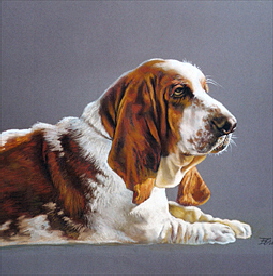 Hunde